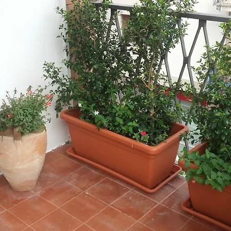 فندق مبيت وإفطار Casa Namaste